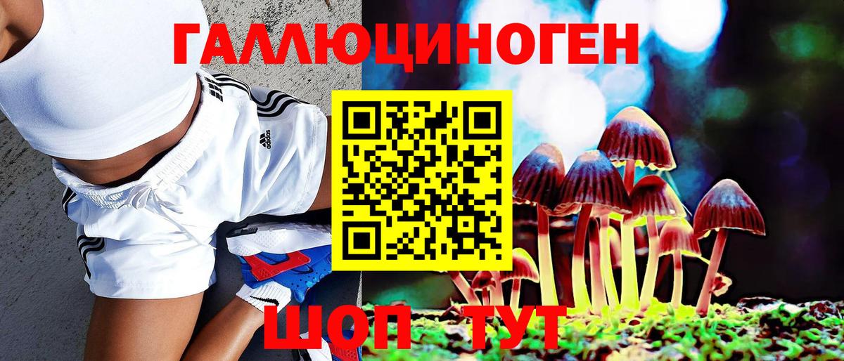 Псилоцибиновые грибы MAGIC MUSHROOMS  Вход с VPN  Муром 