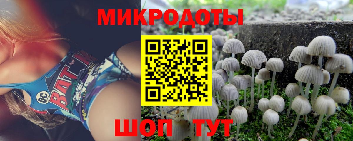 Галлюциногенные грибы мицелий Муром